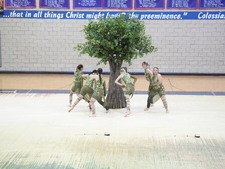 Enlarge photo 20