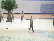 Enlarge photo 54