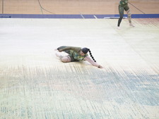 Enlarge photo 337