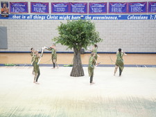 Enlarge photo 411