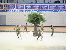 Enlarge photo 425
