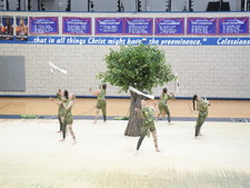 Enlarge photo 428