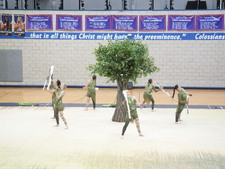Enlarge photo 429