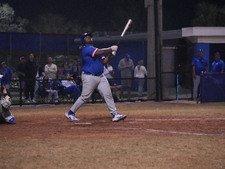 Enlarge photo 217