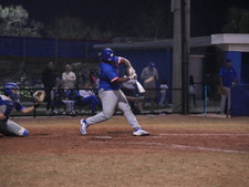 Enlarge photo 226