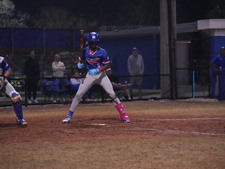 Enlarge photo 429