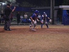 Enlarge photo 549