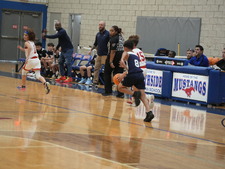 Enlarge photo 215