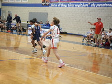 Enlarge photo 280