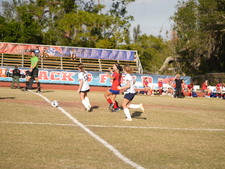Enlarge photo 646