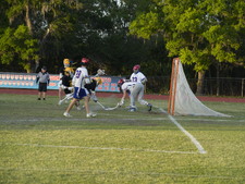 Enlarge photo 45
