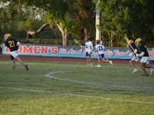 Enlarge photo 72