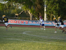 Enlarge photo 73