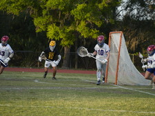 Enlarge photo 159