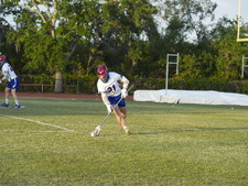 Enlarge photo 172