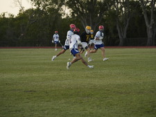 Enlarge photo 248