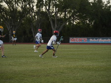 Enlarge photo 256