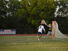 Enlarge photo 278