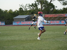 Enlarge photo 315