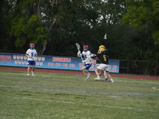 Enlarge photo 416