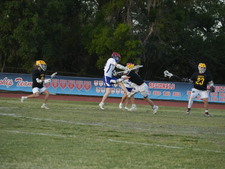 Enlarge photo 423