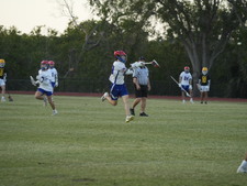 Enlarge photo 449