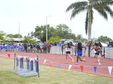 Enlarge photo 1075