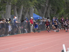 Enlarge photo 1174