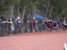 Enlarge photo 1181