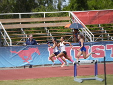 Enlarge photo 1331