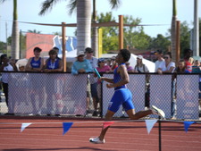 Enlarge photo 2145