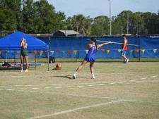 Enlarge photo 239