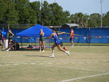 Enlarge photo 245