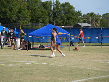 Enlarge photo 247