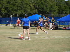 Enlarge photo 255