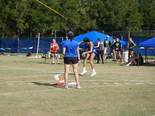 Enlarge photo 258