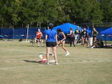 Enlarge photo 259