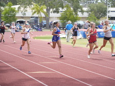 Enlarge photo 441