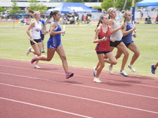 Enlarge photo 449