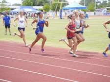 Enlarge photo 451