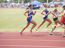 Enlarge photo 459