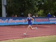 Enlarge photo 544