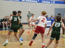 Enlarge photo 279