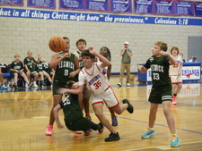 Enlarge photo 429