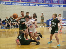 Enlarge photo 431