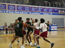 Enlarge photo 51