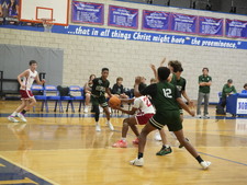 Enlarge photo 227