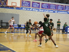 Enlarge photo 228