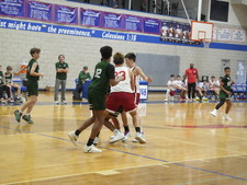 Enlarge photo 245