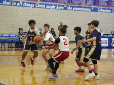 Enlarge photo 110